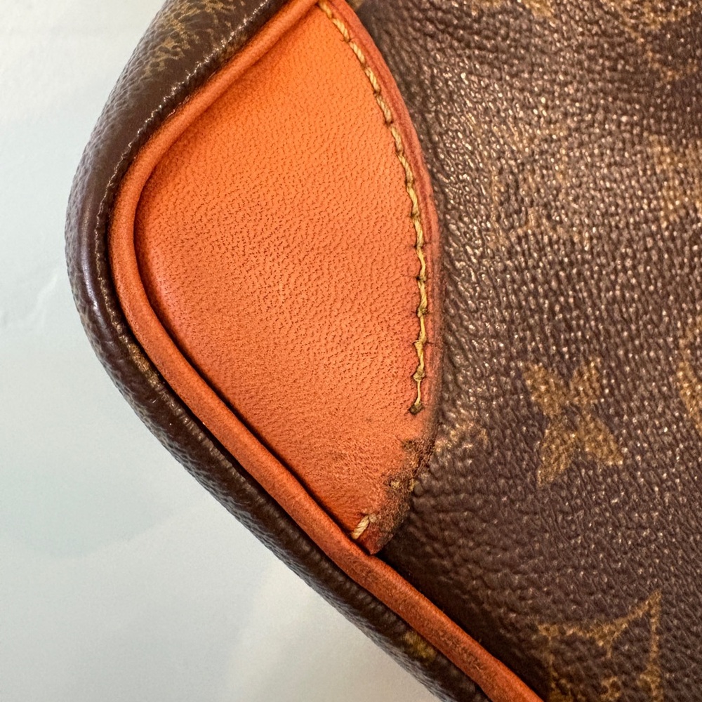 Louis Vuitton Amazon Crossbody Bag - Picture 7 of 16